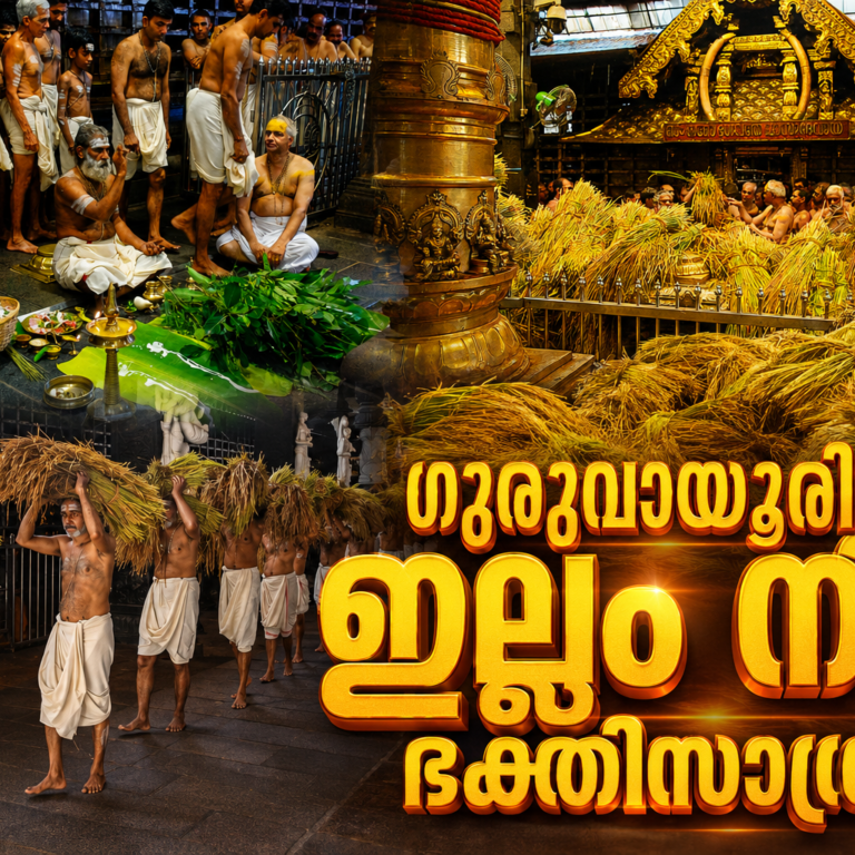 പൊൻകതിർ നിറഞ്ഞു🌾; ഗുരുവായൂരിൽ ഇല്ലം നിറ ഭക്തിസാന്ദ്രം
