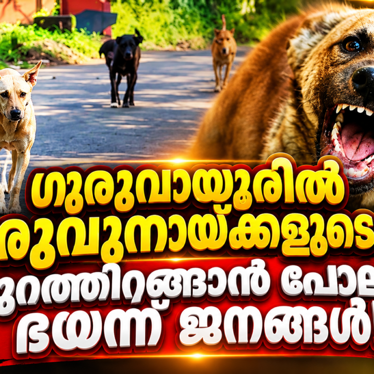 തെരുവുനായ്ക്കളുടെ ഭീഷണിയിൽ ഗുരുവായൂർ; അടിയന്തര നടപടി ആവശ്യപ്പെട്ട് പ്രതിഷേധം ശക്തം